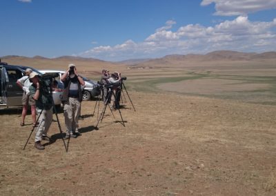 Birding in Mongolia