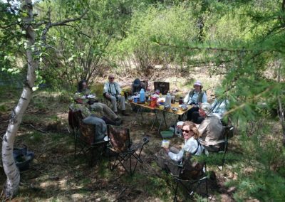 Birding tour Mongolia 2015 |
