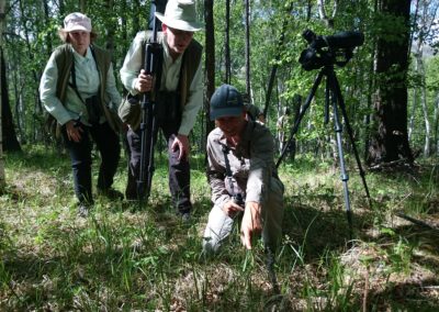 Birding tour Mongolia 2015 |