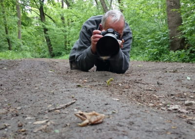 Birding tour in Hungary | Frog