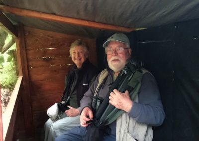 Birding tour in Hungary | Inside the drinking station