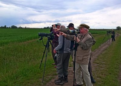 Birding tour in Hungary | Birdwatching in Hungary