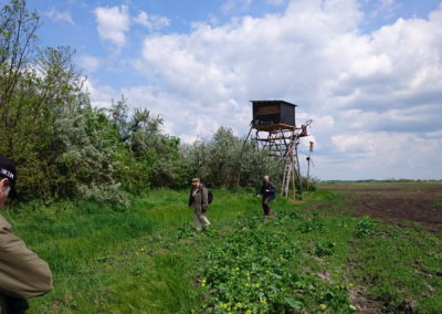 Birding tour in Hungary | Tower Hide