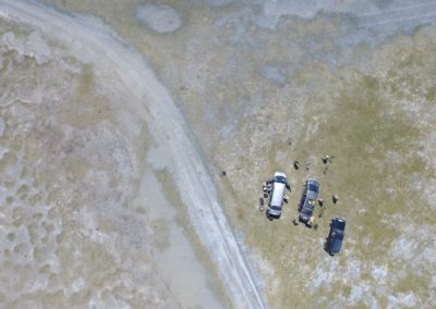 Birding tour Mongolia 2015 | bird watchers from above