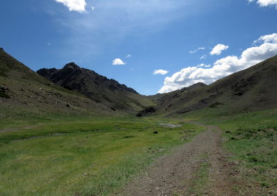 | Birding tour Mongolia