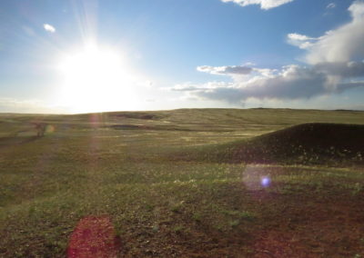 | Birding tour Mongolia