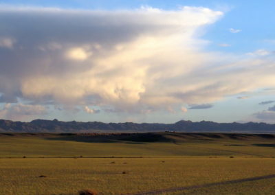 | Birding tour Mongolia
