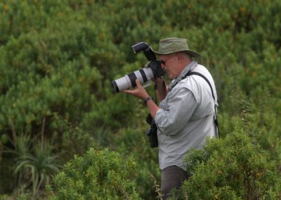 Birding tour Ethiopia 2015