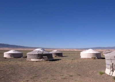 | Birding tour Mongolia