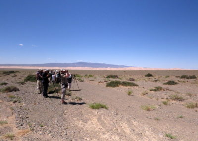 | Birding tour Mongolia