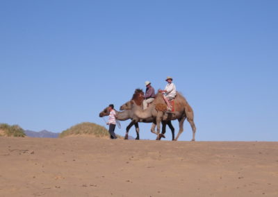 | Birding tour Mongolia
