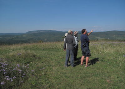 Wildlife Holidays Hungary