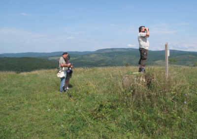 Small mammal watching holiday Hungary