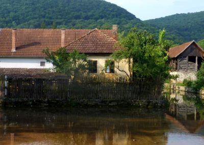 |Wildlife Holidays Hungary