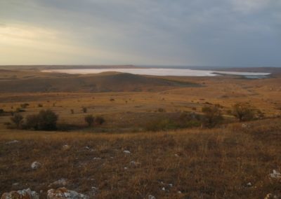 Bagerove steppes | Birding tour Ukraine