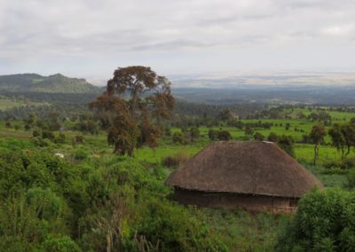 Bale Mountains| Birding tour Ethiopia 2014
