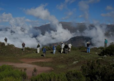 Birding tour Ethiopia 2015