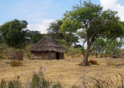 Bale Mountains| Birding tour Ethiopia 2014