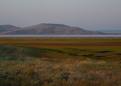 Crimean landscape | Birding tour Ukraine
