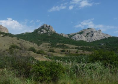 Crimean Hills | Birding tour Ukraine