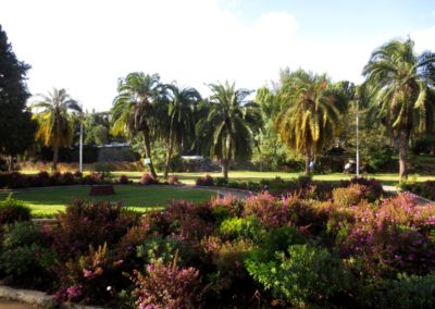 n the garden of the Hotel in Addis