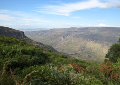 Jemma Valley| Birding tour Ethiopia 2014