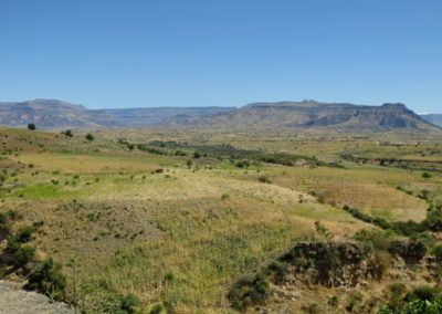 Jemma Valley| Birding tour Ethiopia 2014