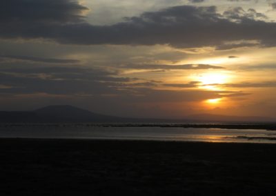 Lake Abiyata| Birding tour Ethiopia 2014