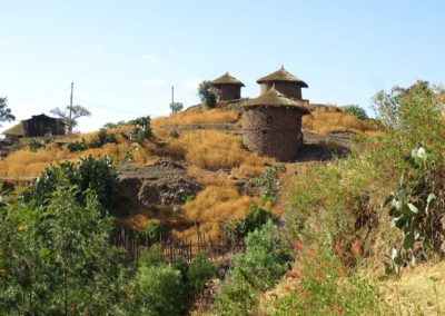 Birding tour Ethiopia 2015