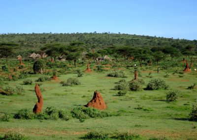 Birding tour Ethiopia 2015