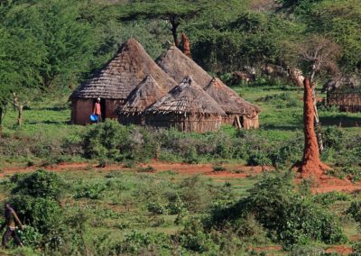 Birding tour Ethiopia 2015